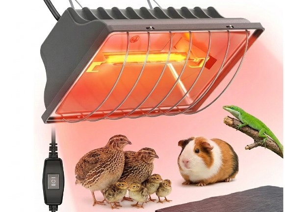 How Long Do Chicks Need a Heat Lamp? The Handbook for Healthy Development
